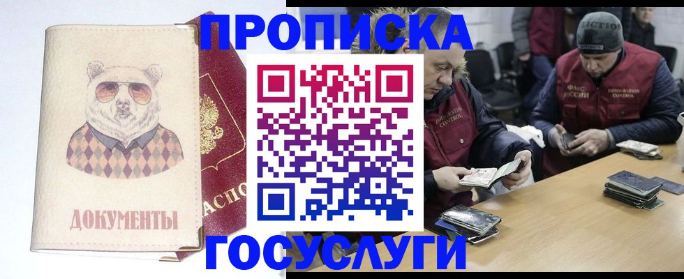 временная регистрация поиск в Лузе